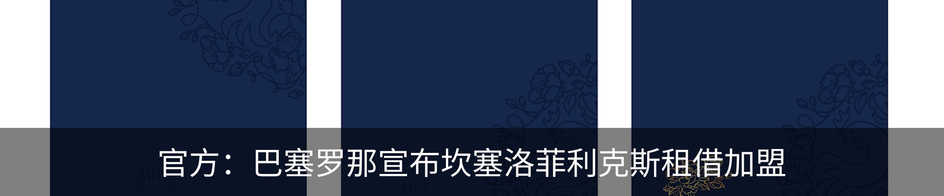 新闻动态