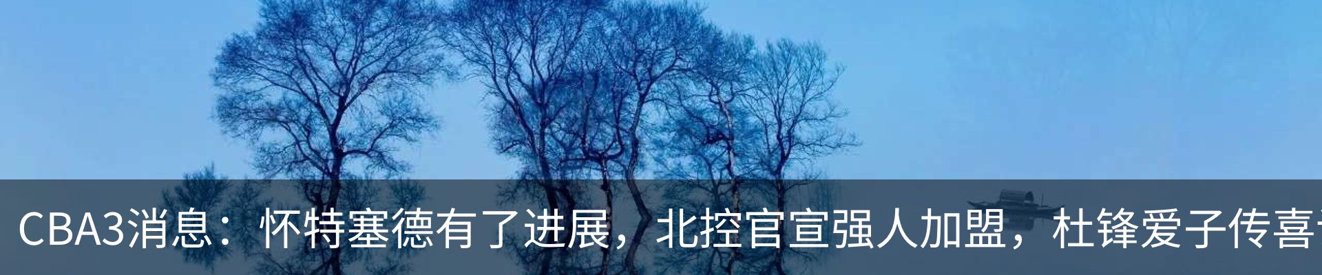 新闻动态