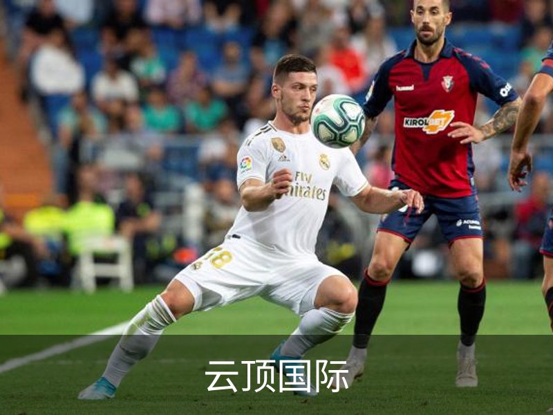 云顶国际简介