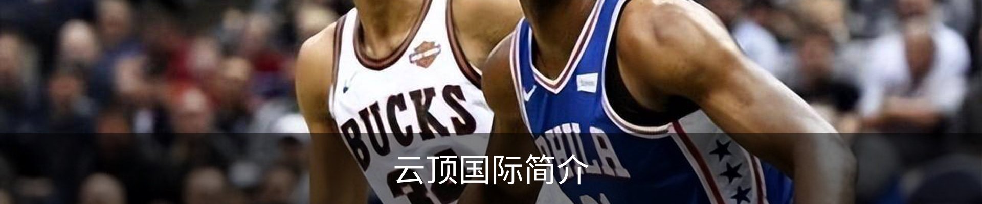 云顶国际简介